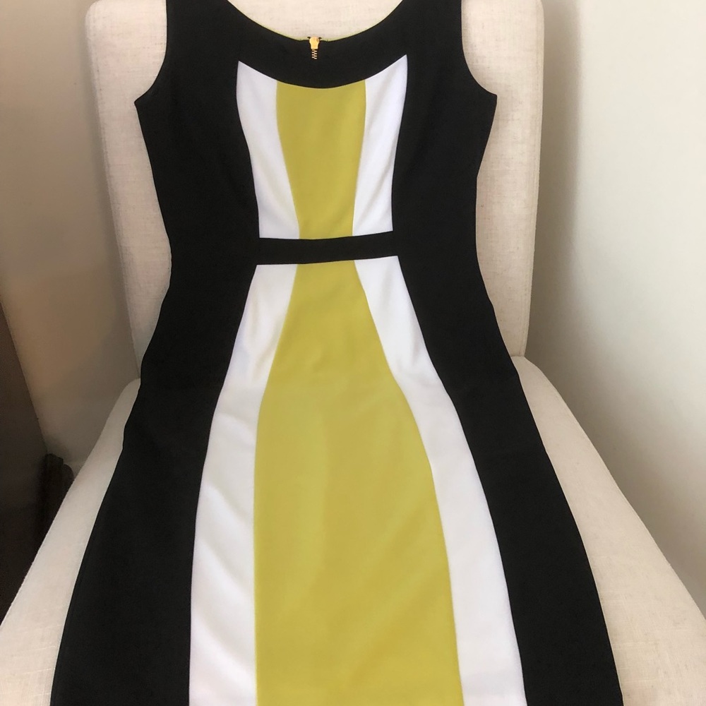 Frank Lyman dress